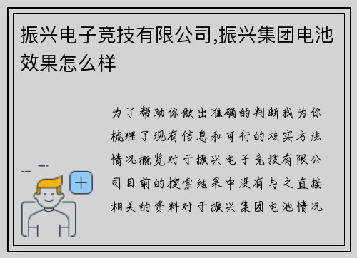 振兴电子竞技有限公司,振兴集团电池效果怎么样
